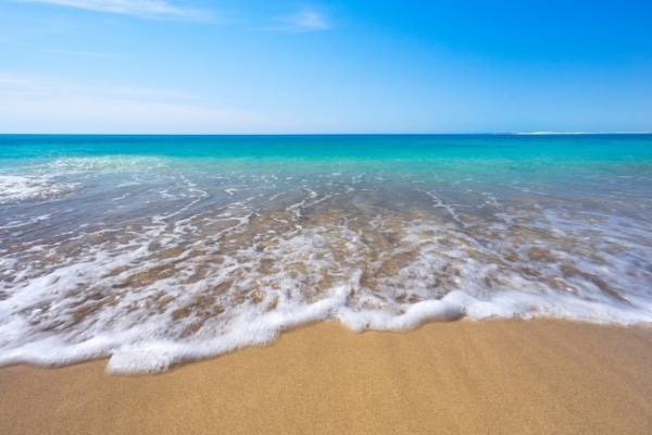 International Earth Day