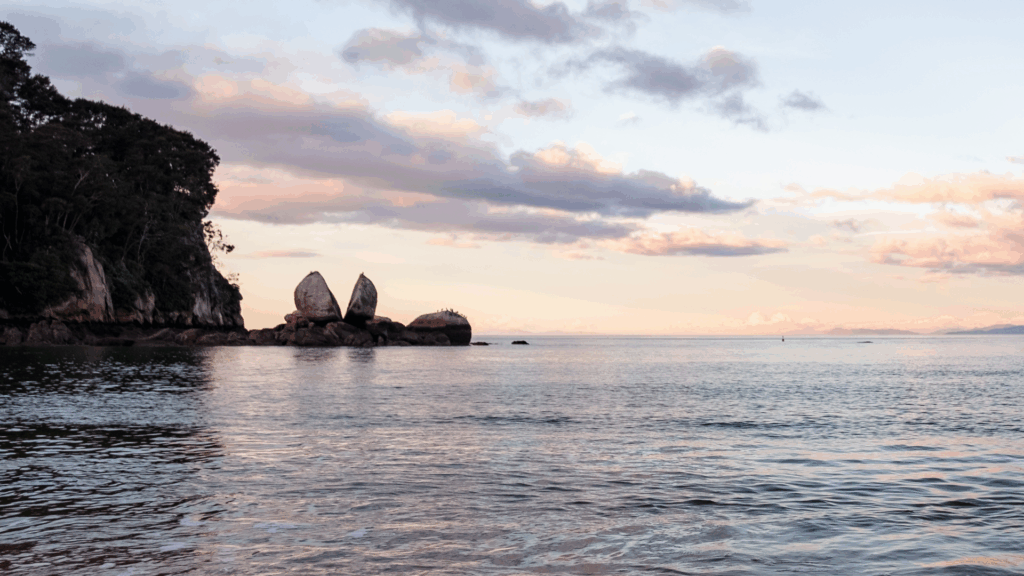 Finding Your Keynote Match What Kiwi Organisers Really Look For