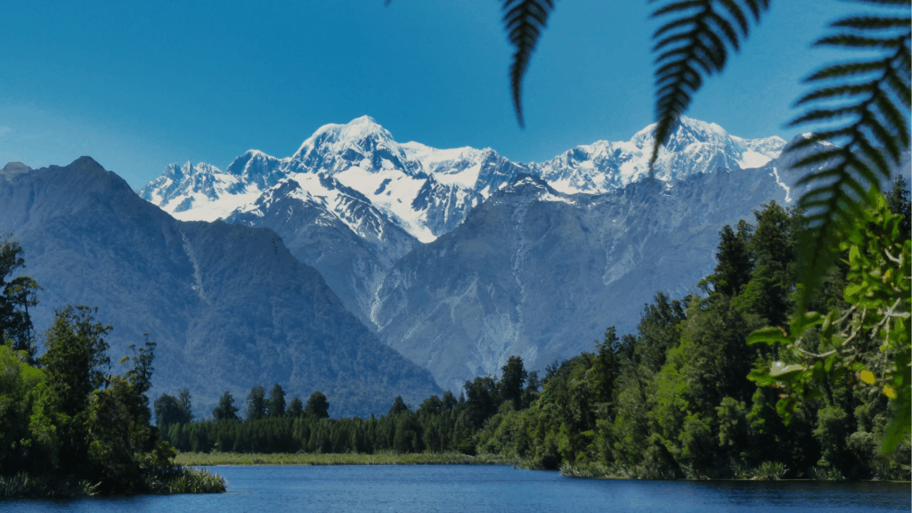 Why New Zealand Audiences Love Speakers Who Bring Authenticity